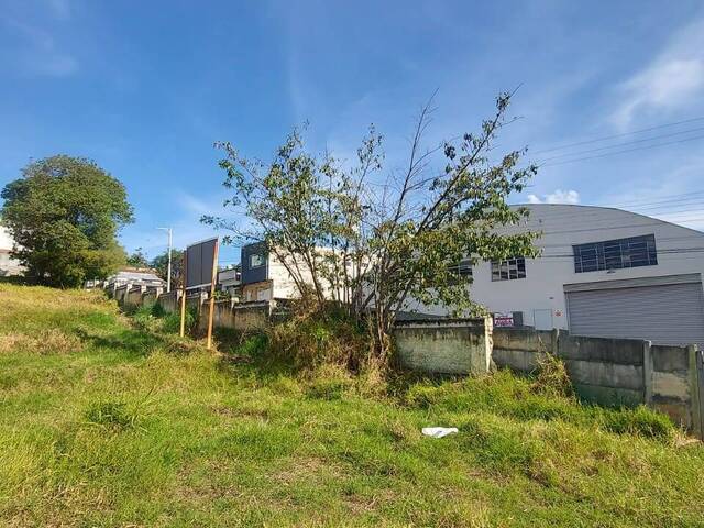 Terreno para Venda em Bom Jesus dos Perdões - 5