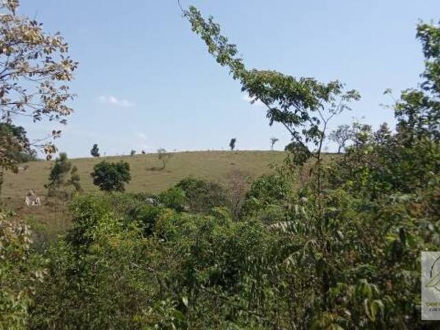 #157 - Sítio para Venda em Atibaia - SP - 2