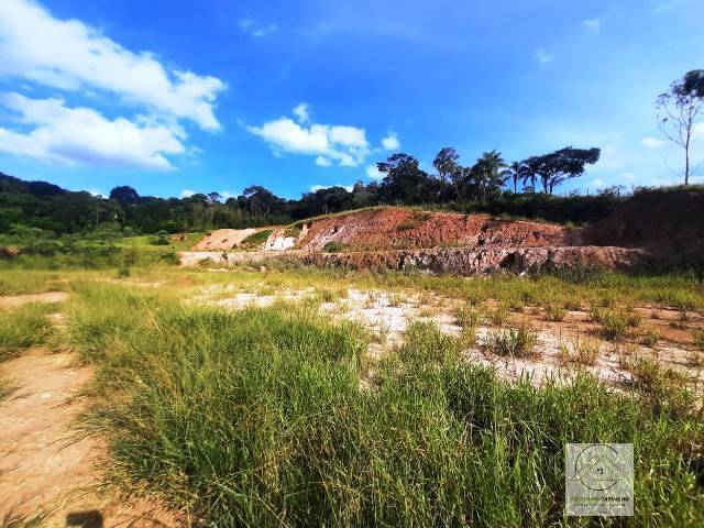 Terreno, 2 hectares - Foto 9