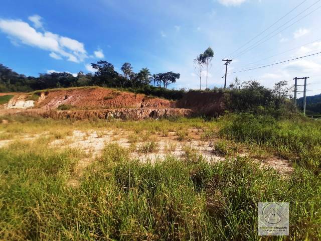 Terreno, 2 hectares - Foto 6