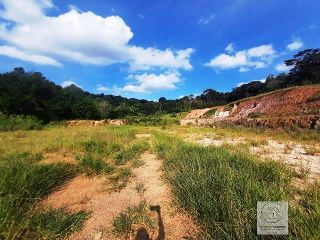 Terreno, 2 hectares - Foto 7