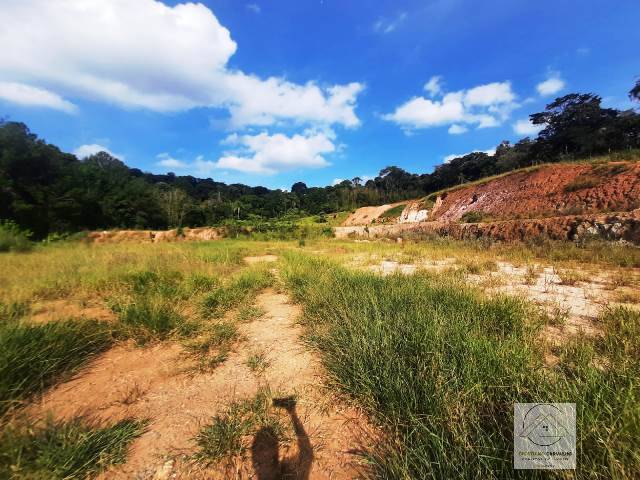 Terreno, 2 hectares - Foto 8