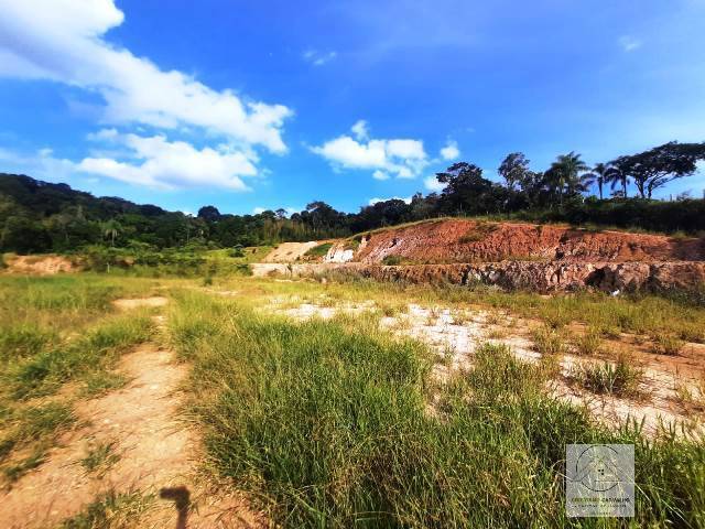 Terreno, 2 hectares - Foto 5