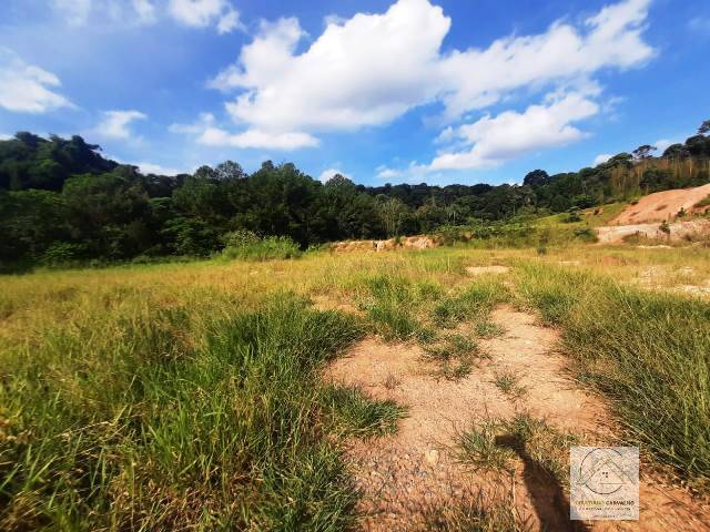 Terreno, 2 hectares - Foto 12