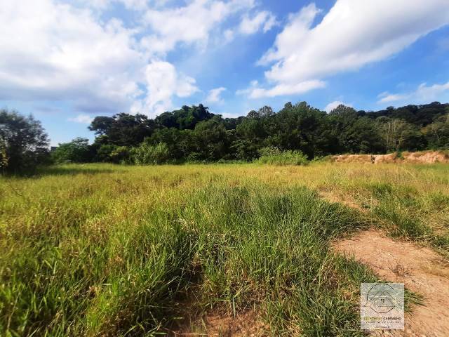 Terreno, 2 hectares - Foto 10