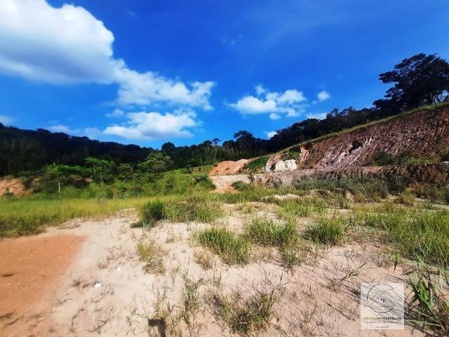 Terreno, 2 hectares - Foto 11