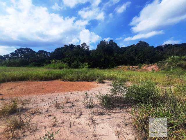 Terreno, 2 hectares - Foto 17