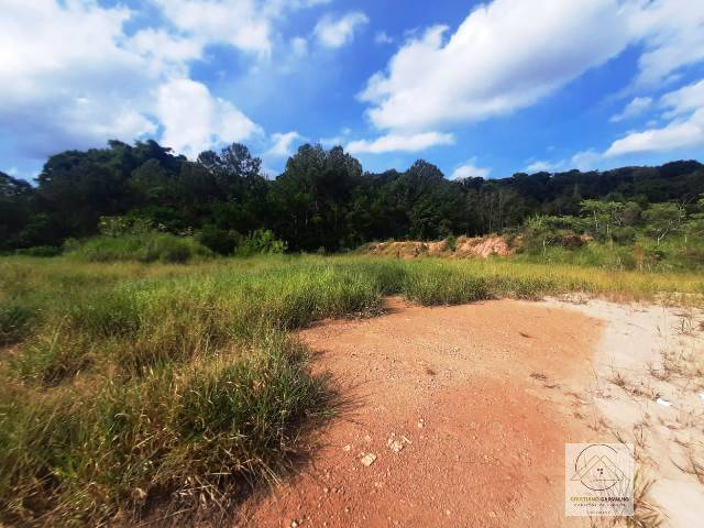 Terreno, 2 hectares - Foto 14