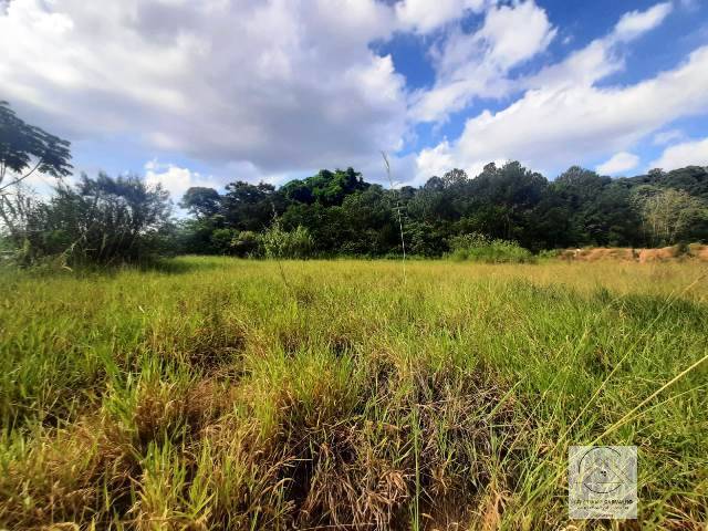 Terreno, 2 hectares - Foto 21