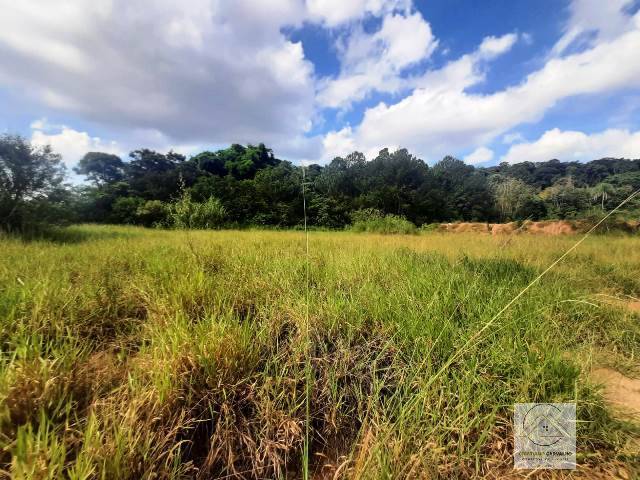 Terreno, 2 hectares - Foto 22