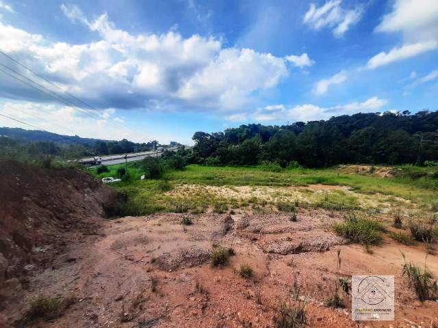 Terreno, 2 hectares - Foto 24