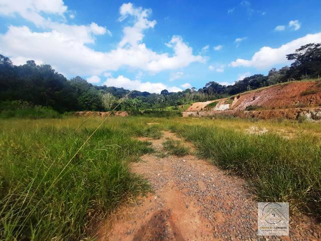 Terreno, 2 hectares - Foto 19