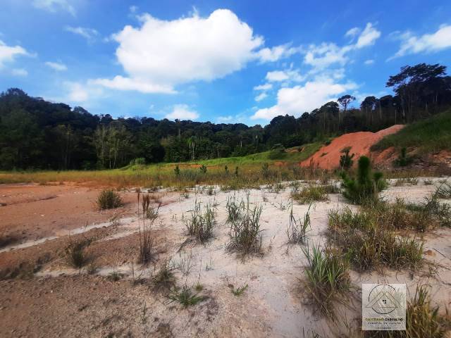 Terreno, 2 hectares - Foto 26