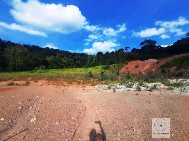 Terreno, 2 hectares - Foto 32