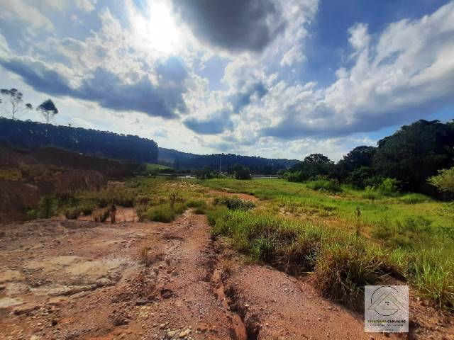 Terreno, 2 hectares - Foto 39