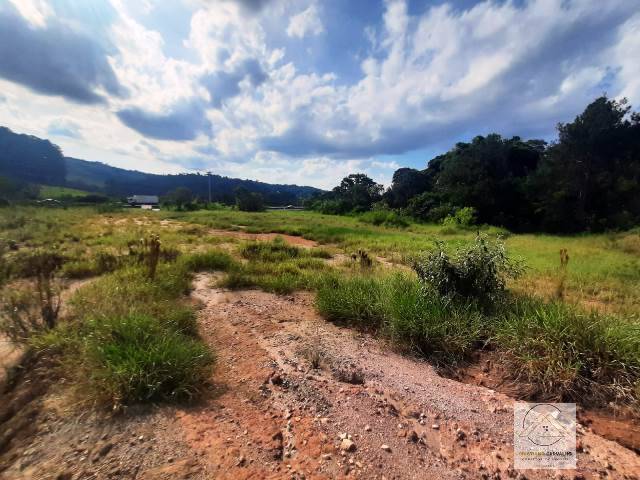 Terreno, 2 hectares - Foto 43