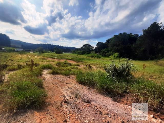 Terreno, 2 hectares - Foto 46