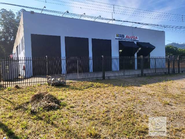 Depósito-Galpão-Armazém à venda e aluguel, 1567m² - Foto 3