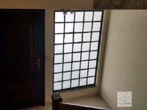 Casa, 4 quartos, 656 m² - Foto 19