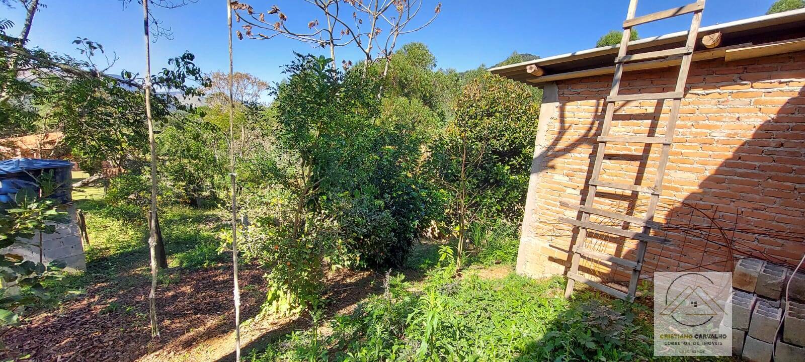 Chácara à venda com 2 quartos, 12000m² - Foto 91