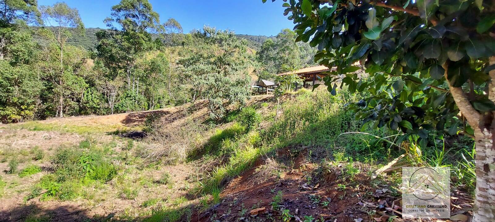 Chácara à venda com 2 quartos, 12000m² - Foto 95