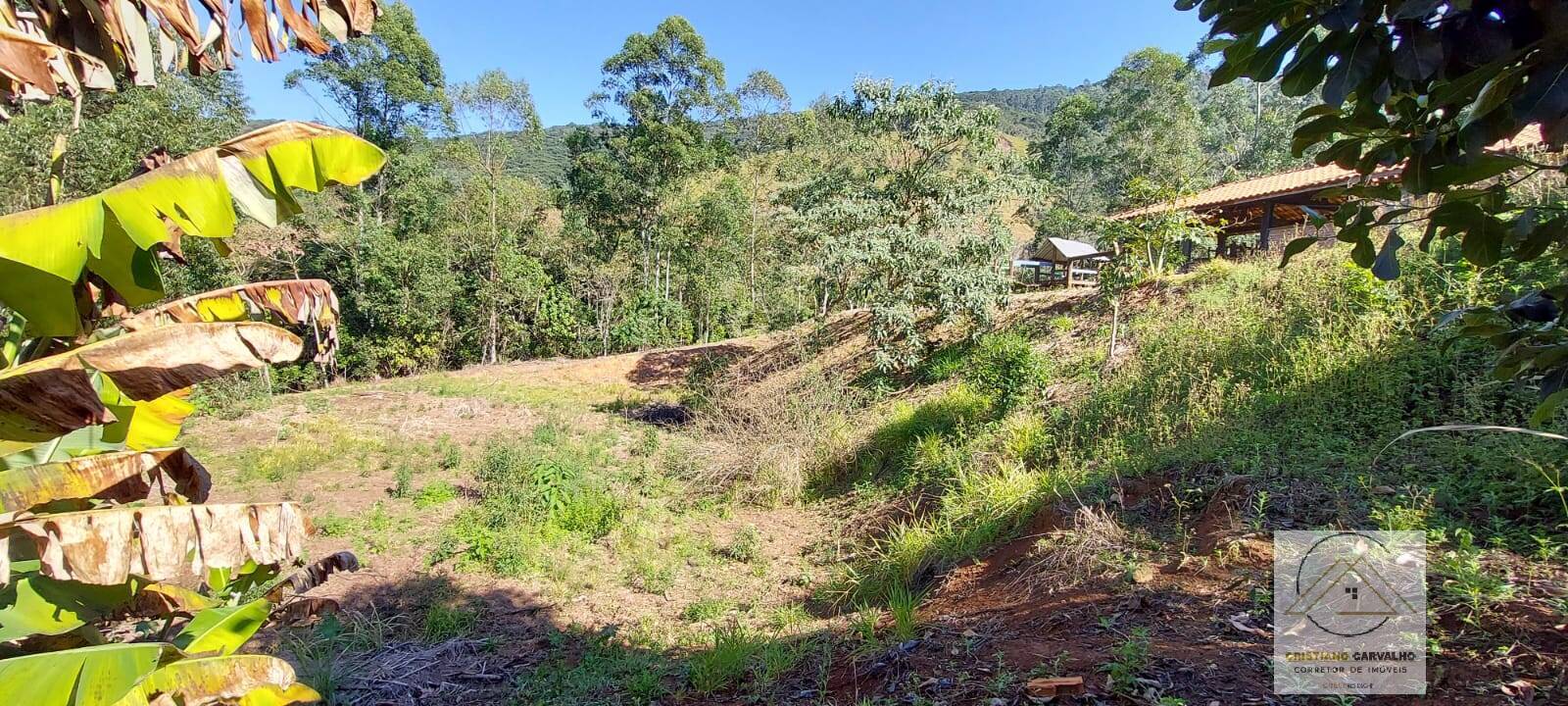 Chácara à venda com 2 quartos, 12000m² - Foto 94