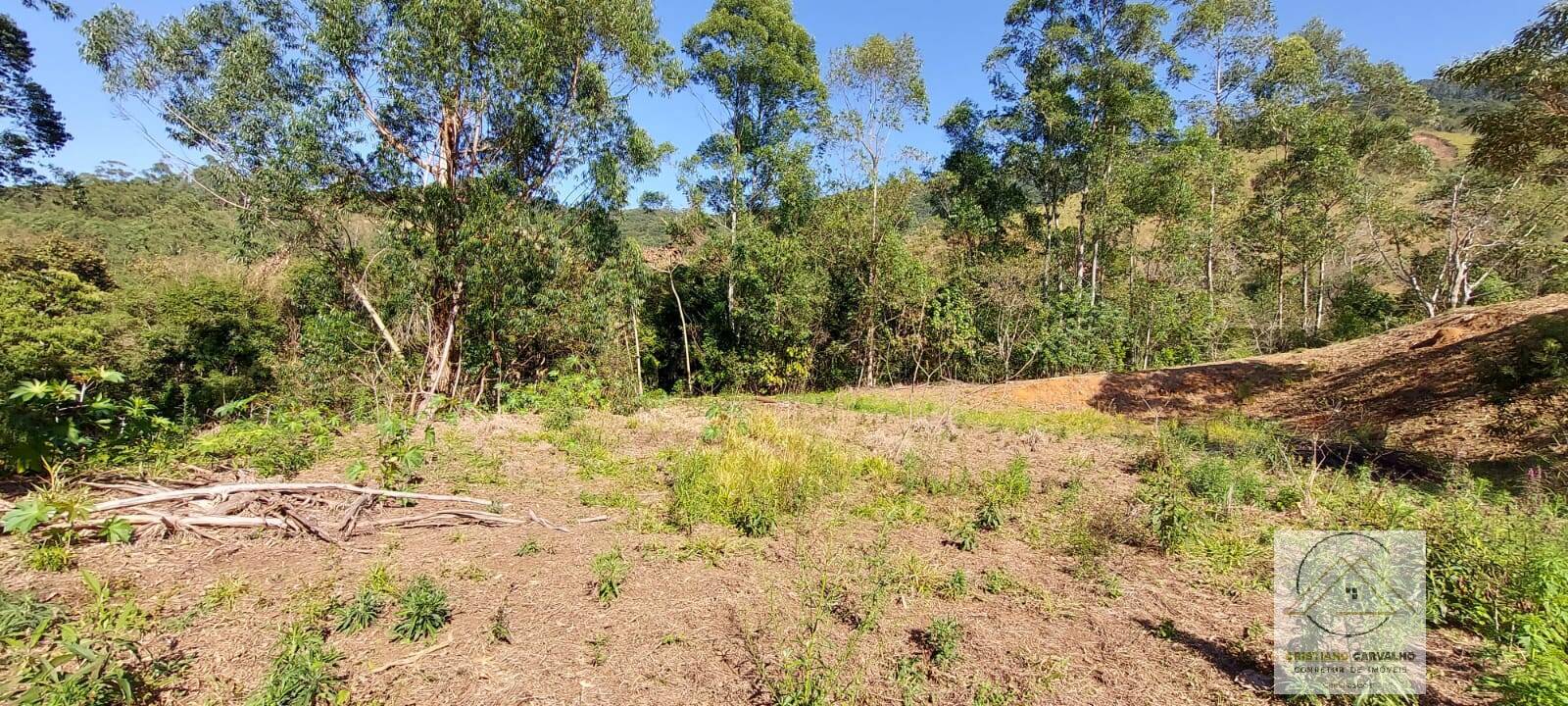 Chácara à venda com 2 quartos, 12000m² - Foto 98