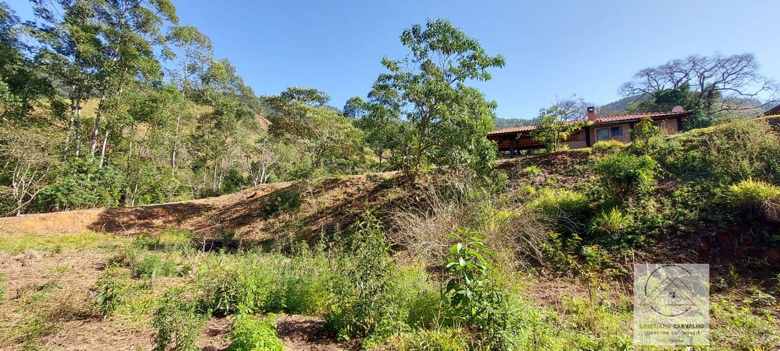 Chácara à venda com 2 quartos, 12000m² - Foto 97