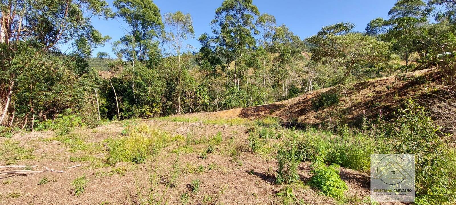 Chácara à venda com 2 quartos, 12000m² - Foto 99