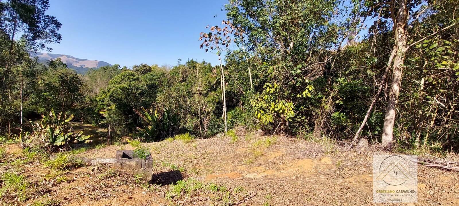Chácara à venda com 2 quartos, 12000m² - Foto 101