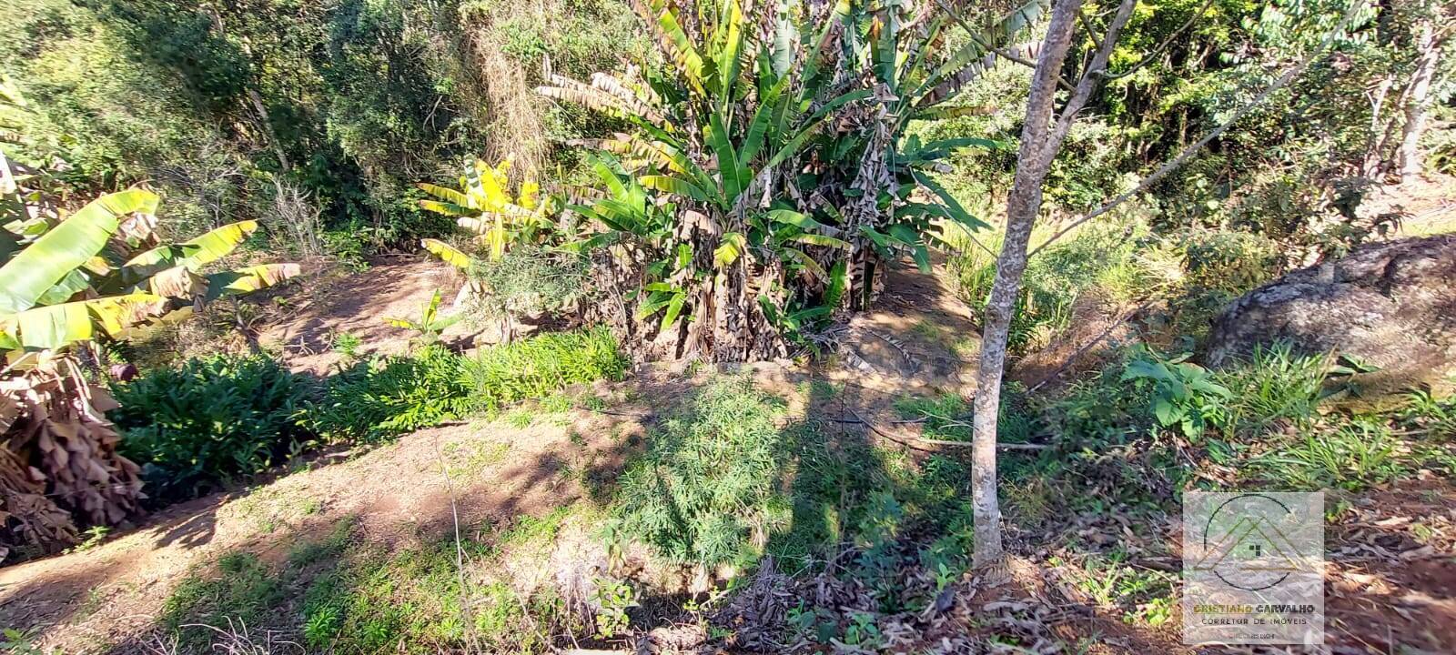 Chácara à venda com 2 quartos, 12000m² - Foto 102