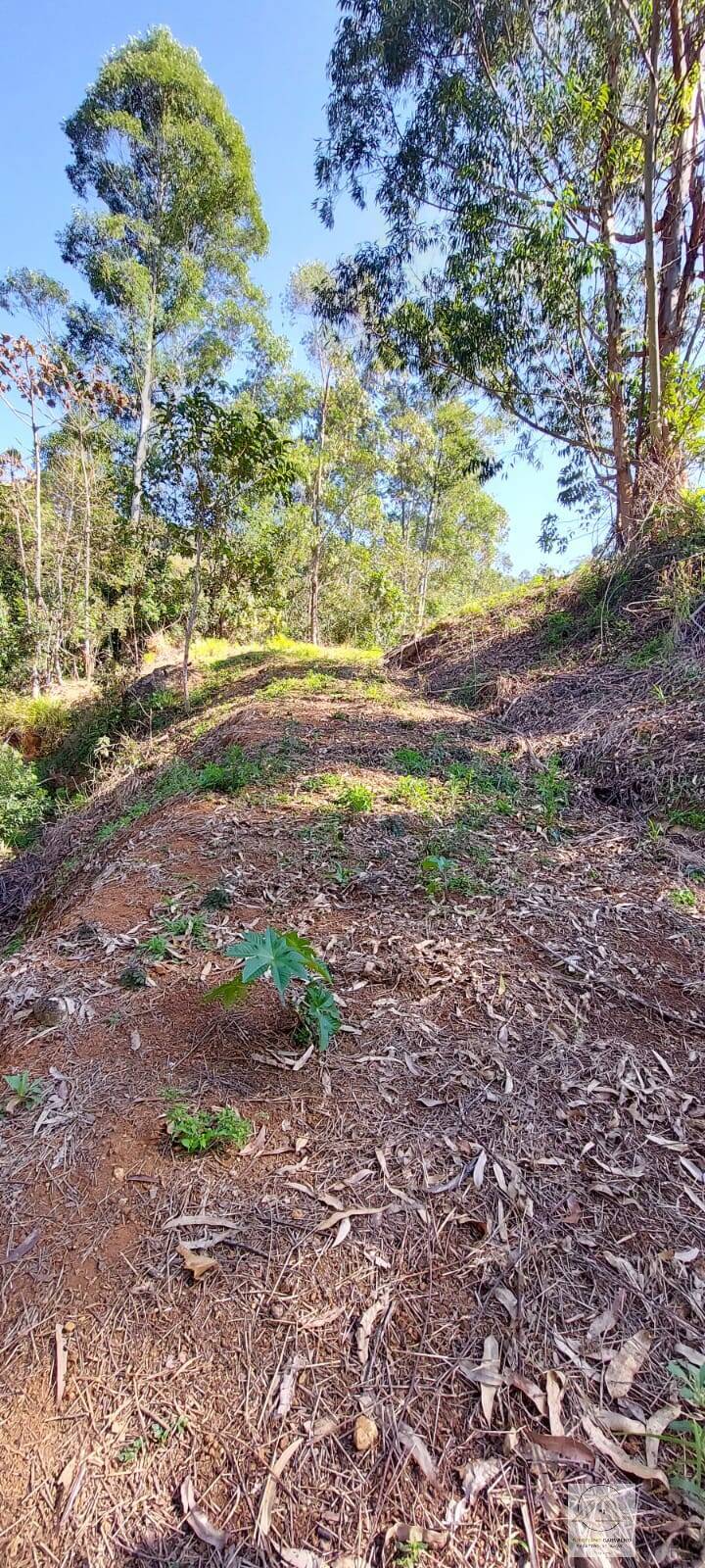 Chácara à venda com 2 quartos, 12000m² - Foto 103