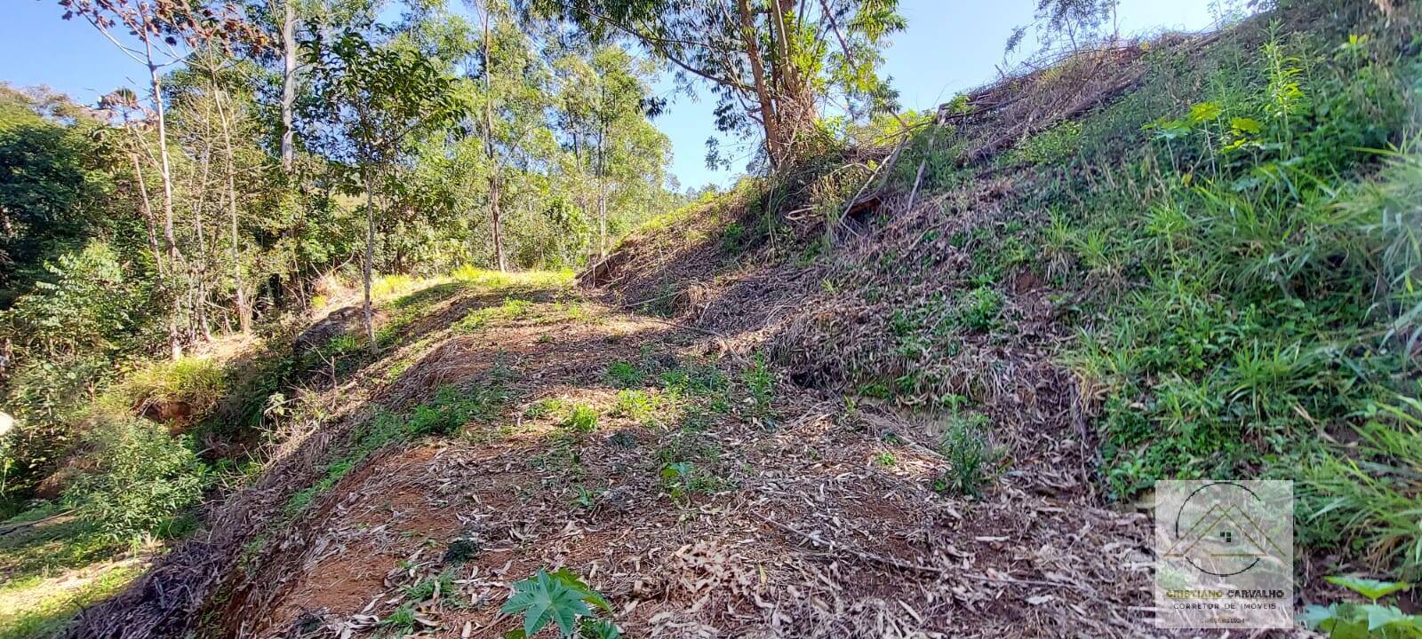 Chácara à venda com 2 quartos, 12000m² - Foto 104