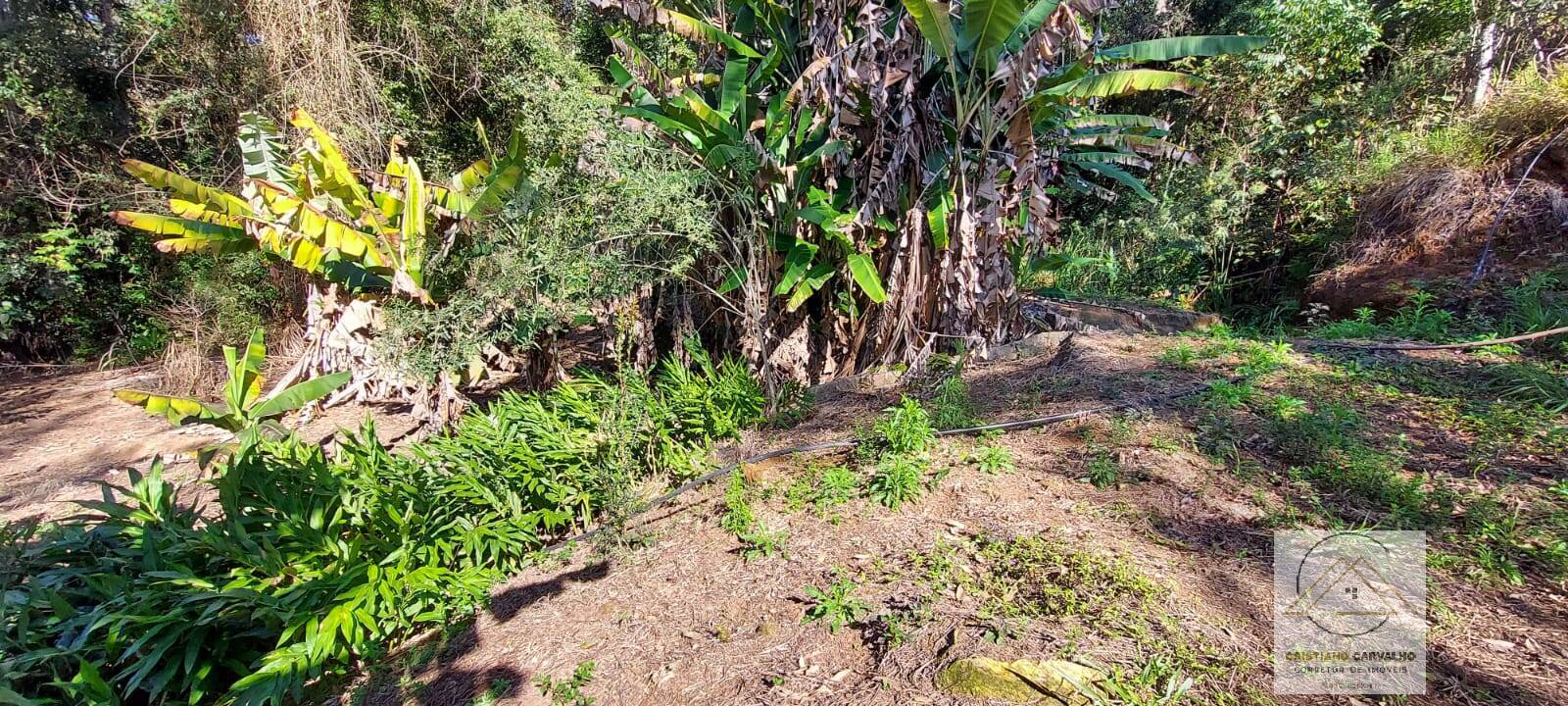 Chácara à venda com 2 quartos, 12000m² - Foto 106