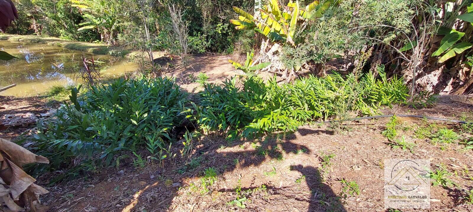 Chácara à venda com 2 quartos, 12000m² - Foto 107