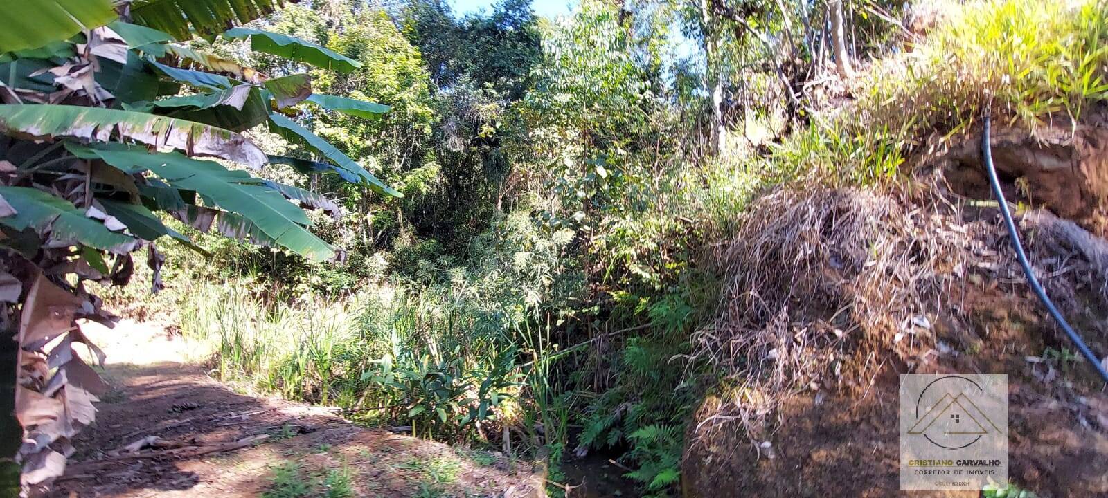 Chácara à venda com 2 quartos, 12000m² - Foto 111