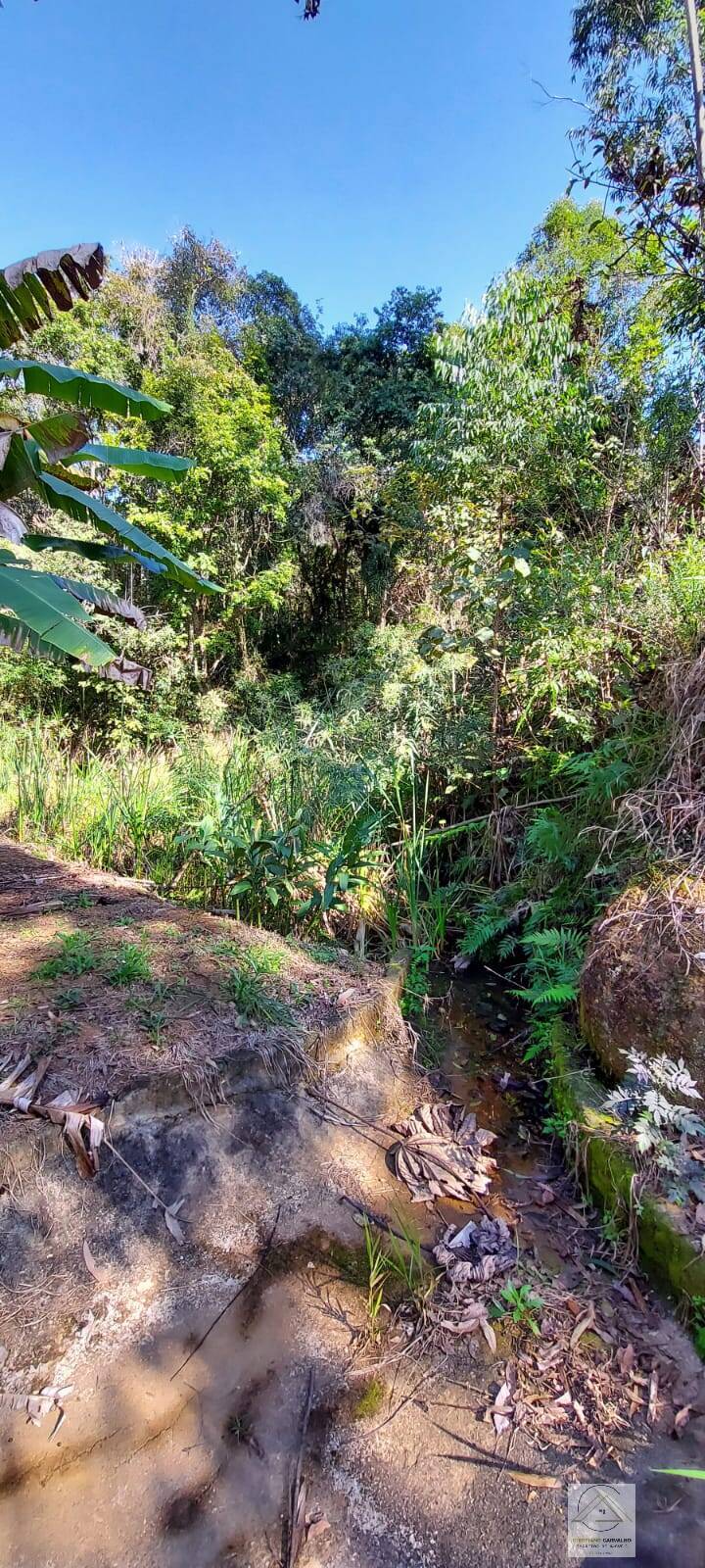 Chácara à venda com 2 quartos, 12000m² - Foto 110