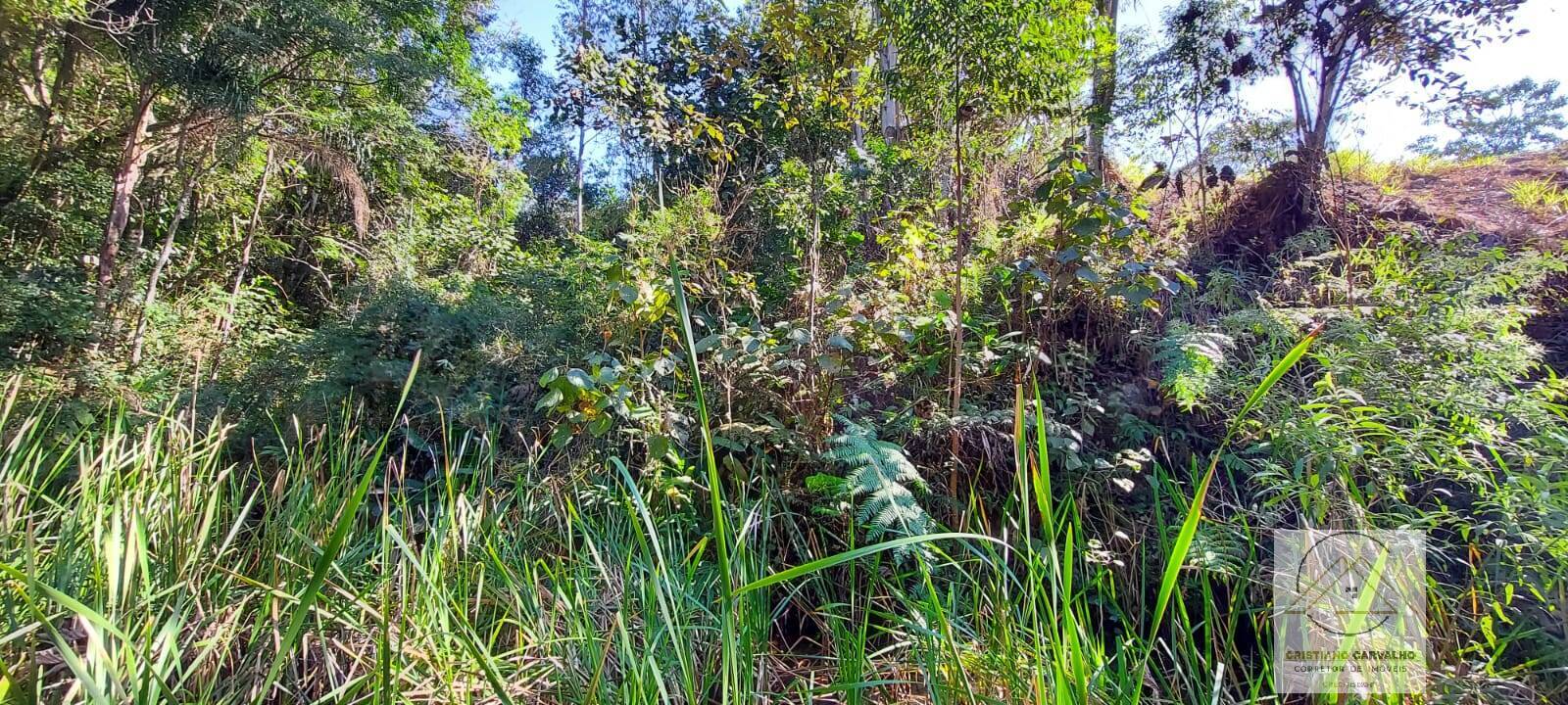 Chácara à venda com 2 quartos, 12000m² - Foto 115
