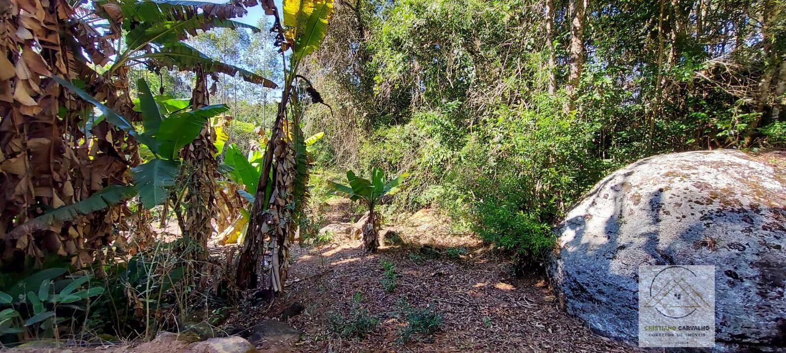 Chácara à venda com 2 quartos, 12000m² - Foto 114