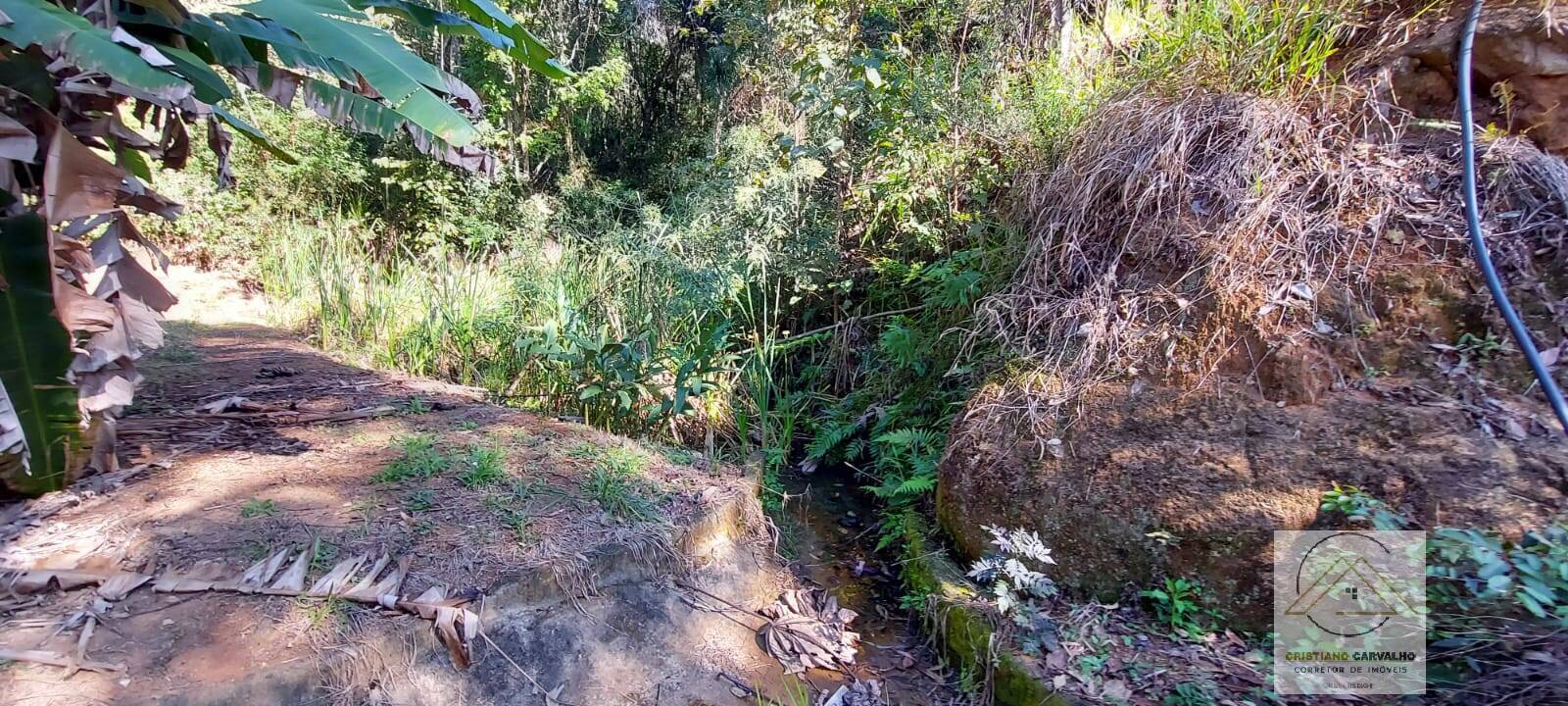 Chácara à venda com 2 quartos, 12000m² - Foto 113