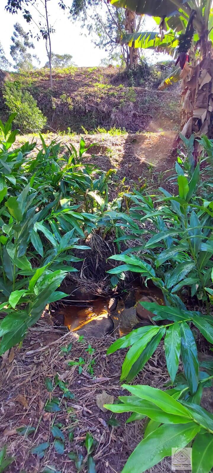 Chácara à venda com 2 quartos, 12000m² - Foto 120