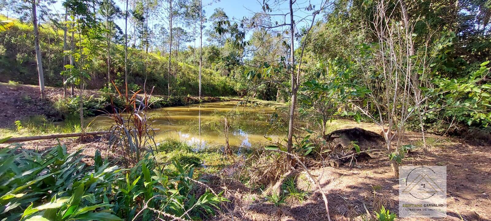 Chácara à venda com 2 quartos, 12000m² - Foto 124