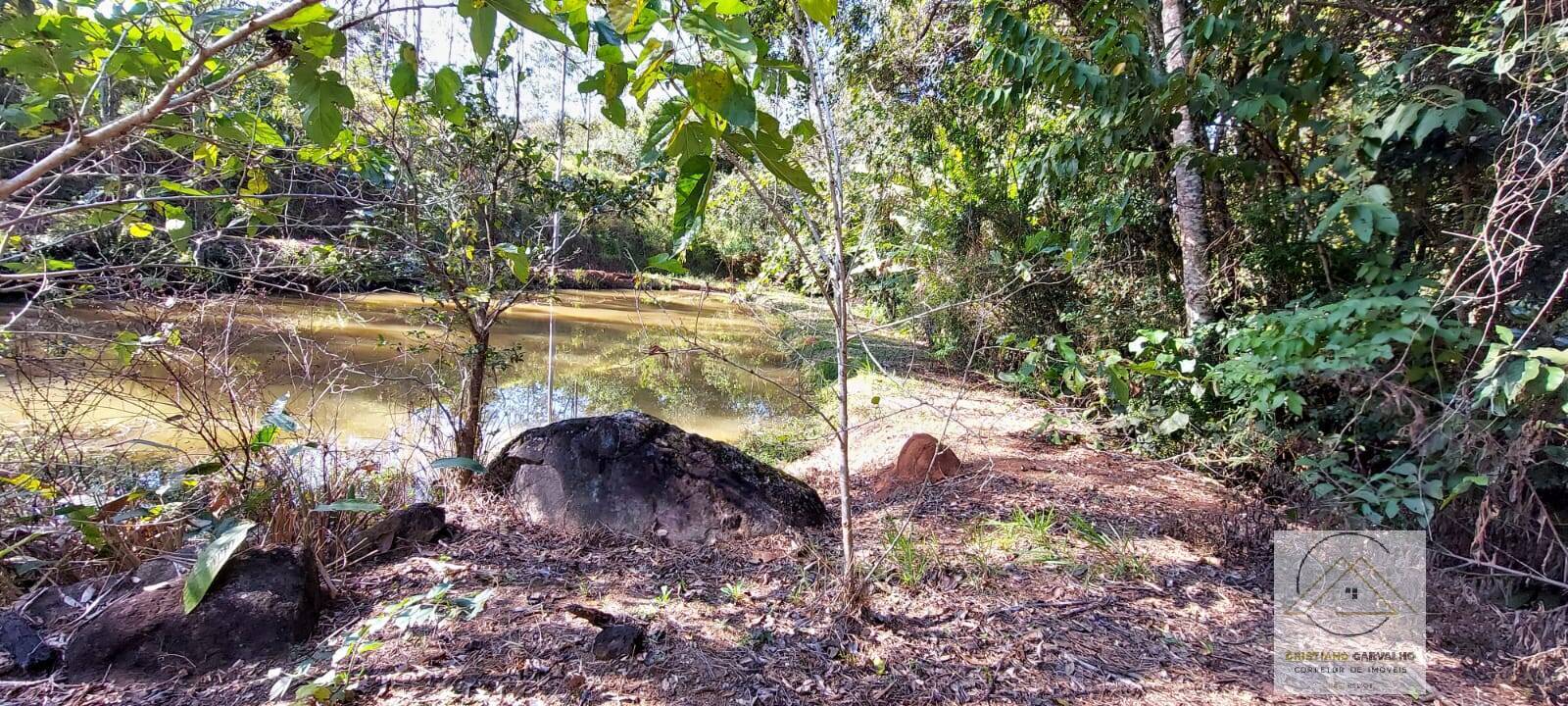 Chácara à venda com 2 quartos, 12000m² - Foto 125