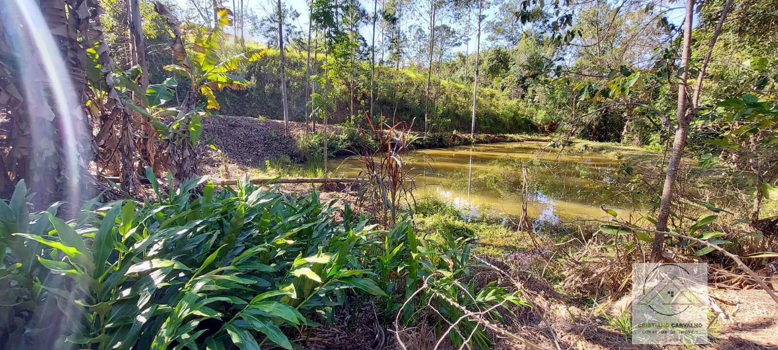 Chácara à venda com 2 quartos, 12000m² - Foto 123