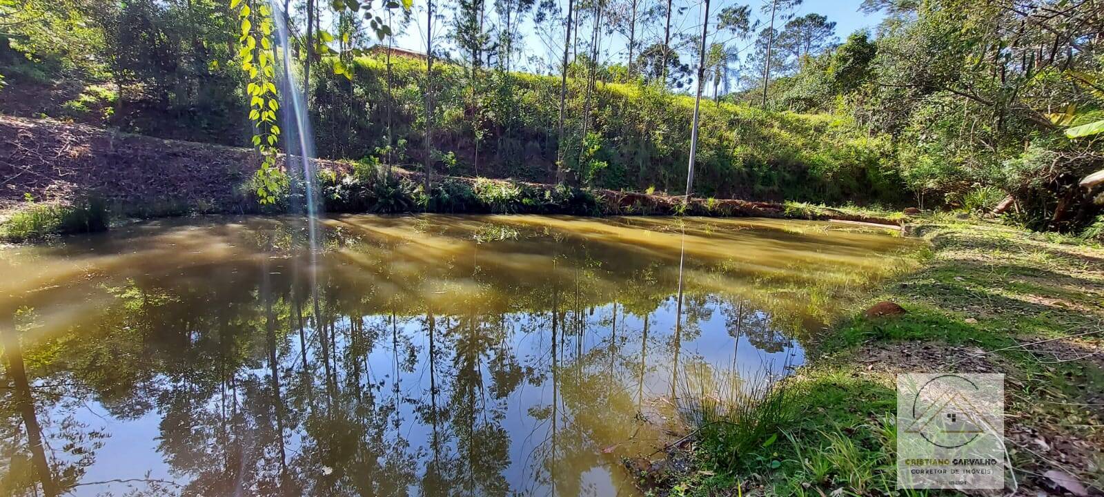 Chácara à venda com 2 quartos, 12000m² - Foto 127