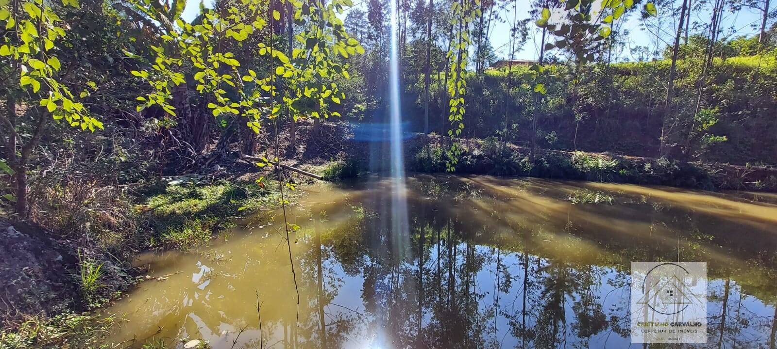 Chácara à venda com 2 quartos, 12000m² - Foto 126