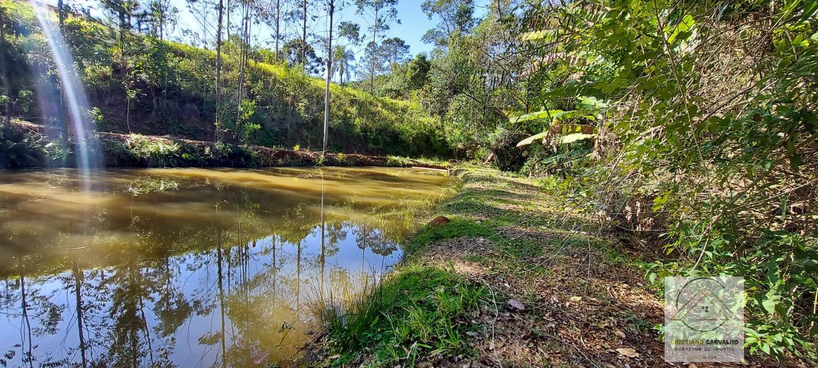 Chácara à venda com 2 quartos, 12000m² - Foto 128