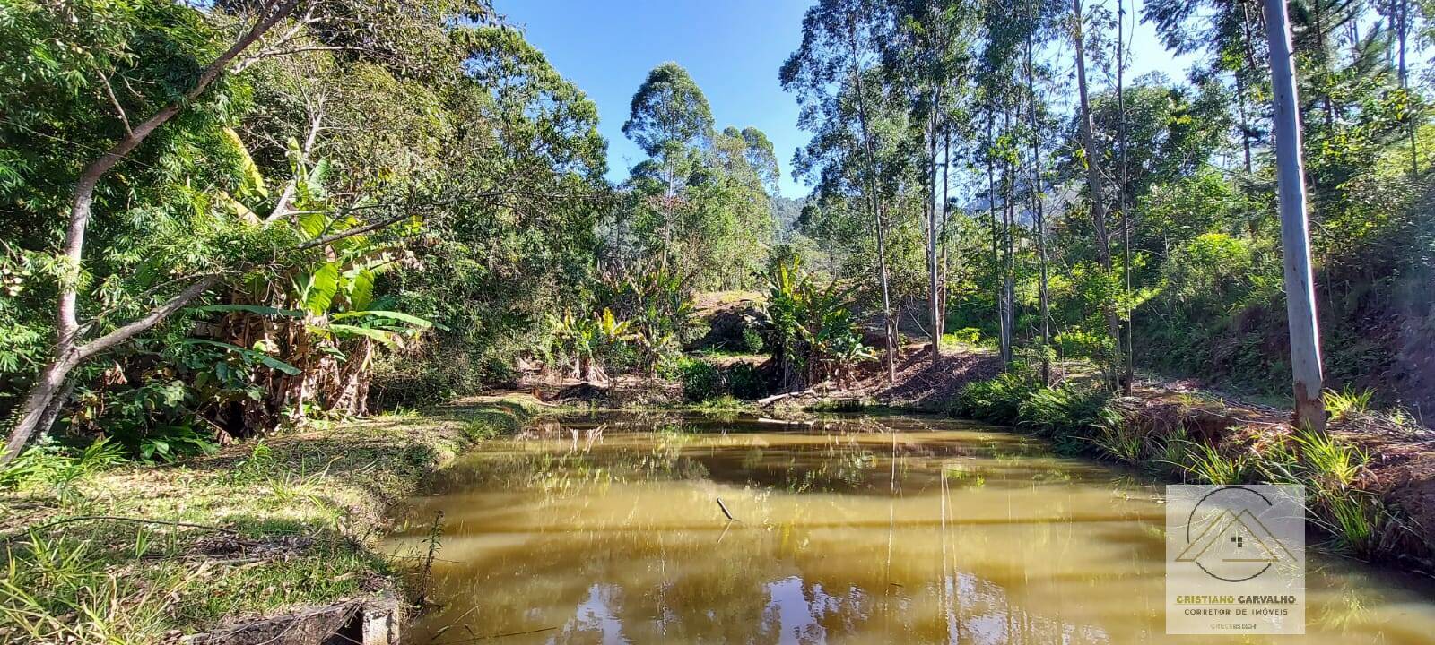 Chácara à venda com 2 quartos, 12000m² - Foto 129