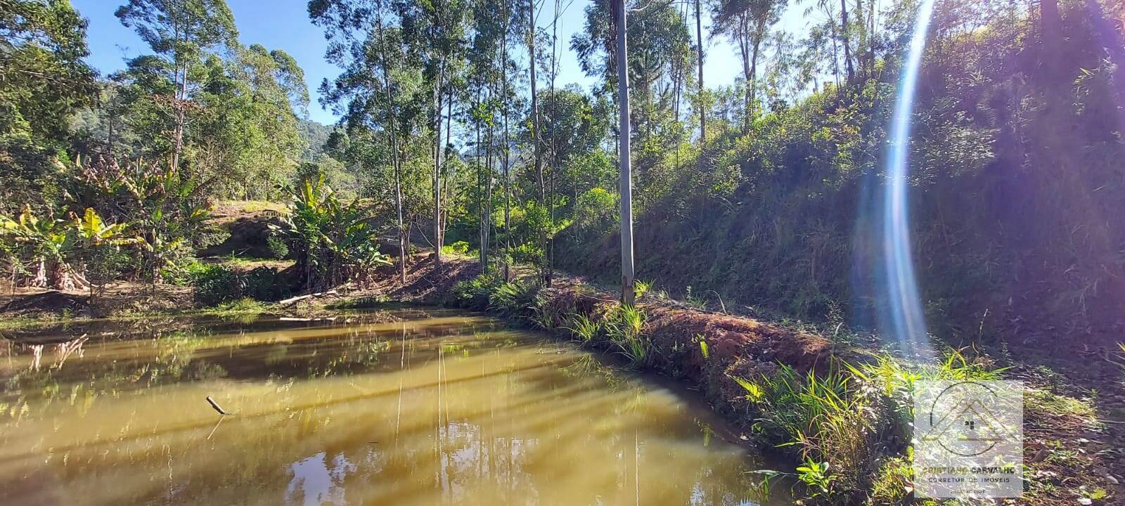 Chácara à venda com 2 quartos, 12000m² - Foto 130