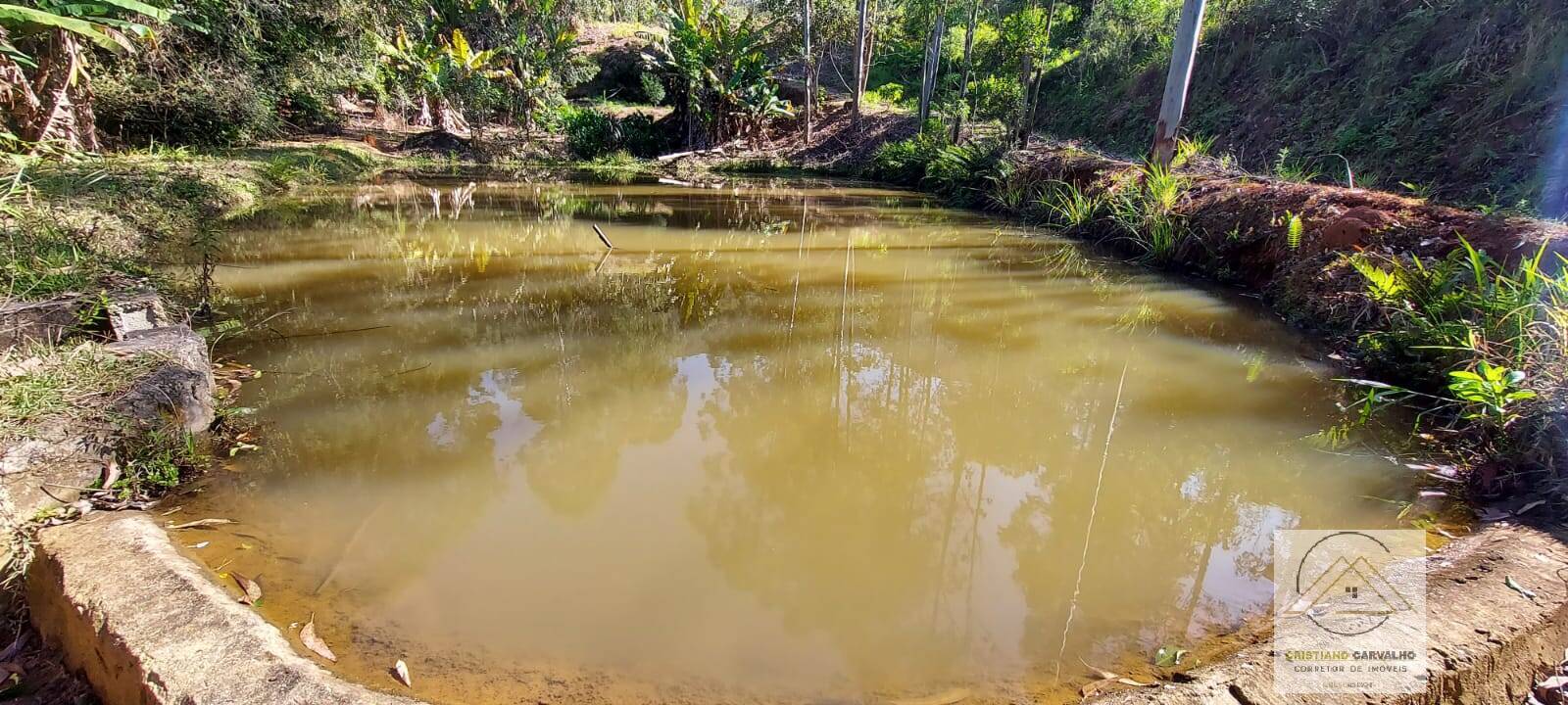 Chácara à venda com 2 quartos, 12000m² - Foto 131